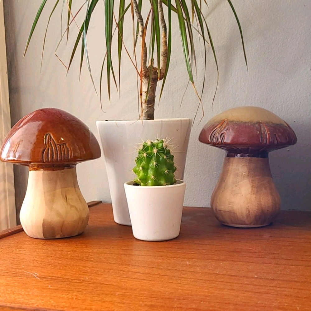 Mushroom home decor 🍄